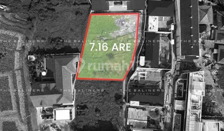 Coastal Commerce In Seseh's Quiet Frontier