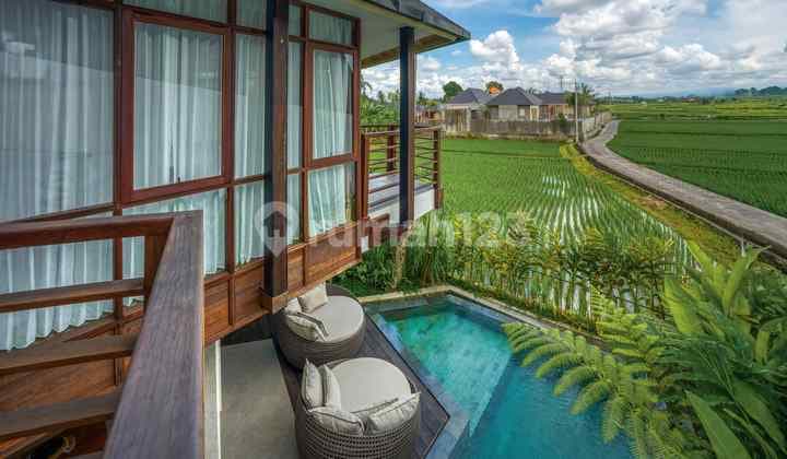 Family Friendly Villa In Ubud With Jungle Surroundings