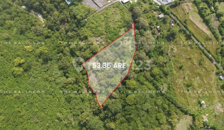 A Large Scale Bukit Land Opportunity Walking Distance To The Beach