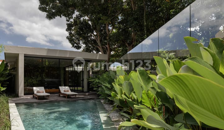 Where Canggu's Energy Meets Everyday Privacy