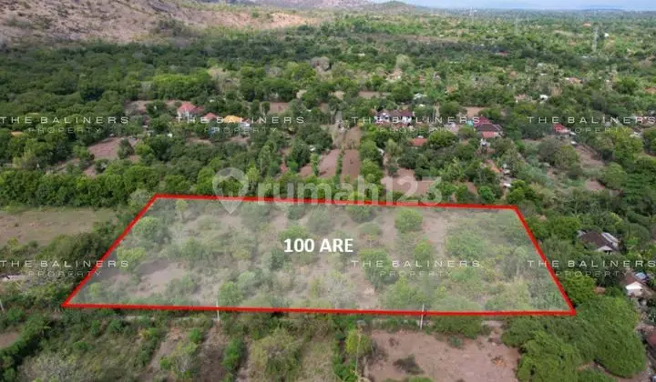 VAST FREEHOLD AGRICULTURAL LAND SURROUNDED BY NATURE IN PEMUTERAN BULELENG