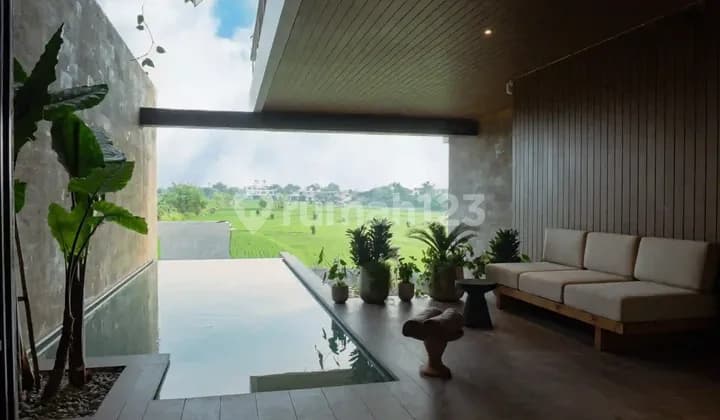 A Well Positioned Canggu Villa With Rice Field Views And Quiet Setting