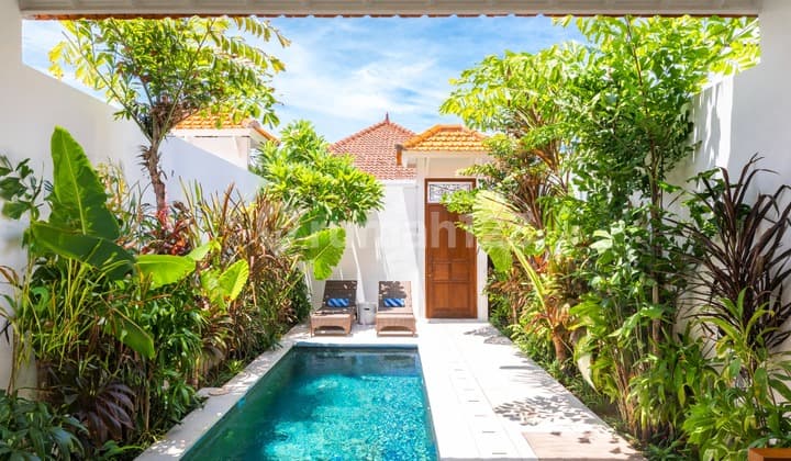Own One Or Secure Both A Seminyak Twin Villa Opportunity