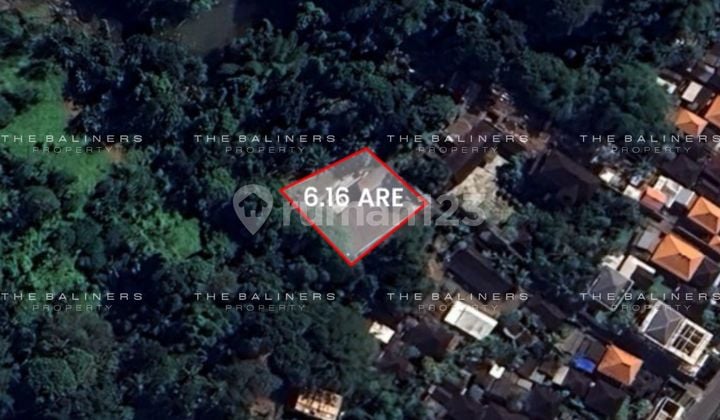 Scenic Leasehold Land With Jungle And Riverside View In Buwit