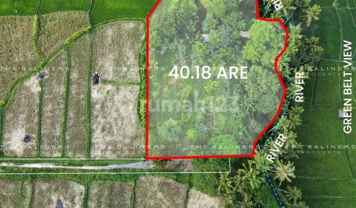 A Rare Ubud Land Parcel With River Edge And Panoramic Green Views