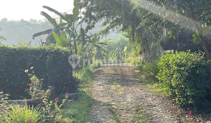 Tanah di Jalan Pangkalan Batu Bogor Barat 2036 m² SHM