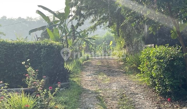 Tanah di Jalan Pangkalan Batu Bogor Barat 2036 m² SHM