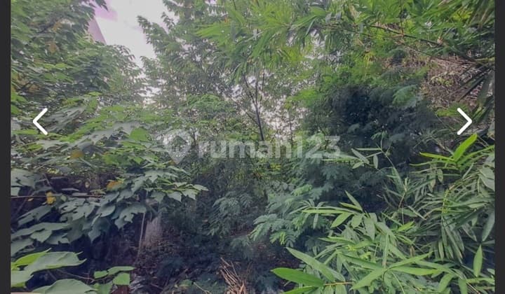 Dijual Cepat Tanah Tomang Grogol Petamburan Dekat Taman Anggrek Luas 515 M2