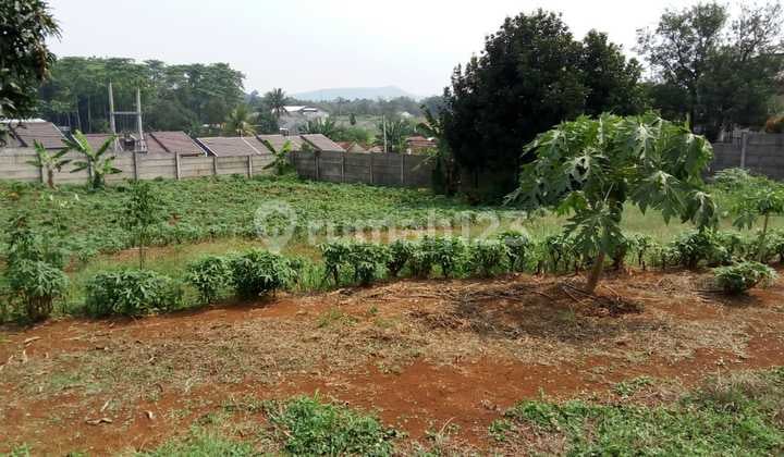 Dijual Murah Tanah di Jl H Mawi Parung 3700 SHM Harga Bu