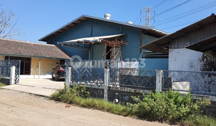Hot Deal! Gudang Premium Siap Pakai di Kawasan Industri Teroboyo