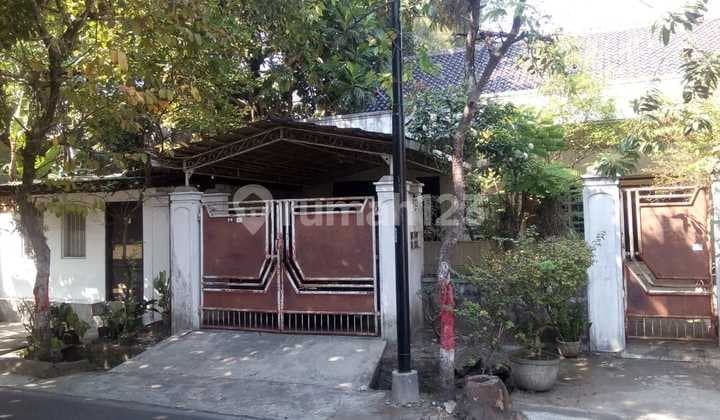 Dijual Rumah + Rumah Burung Walet Bagus SHM di Purwodadi