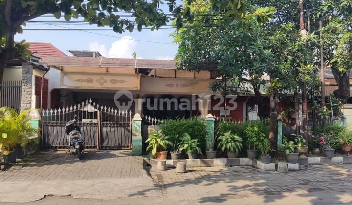 Dijual Rumah di Badak Raya Semarang SHM Bagus Hadap Utara