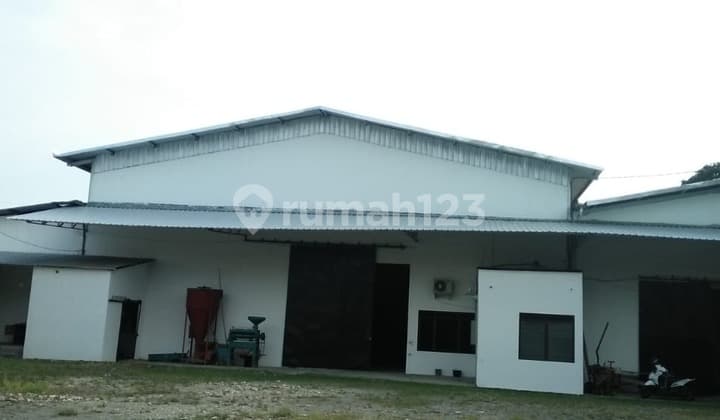 Gudang Strategis Siap Pakai di Gubug Dusun Wareg Kebon Agung