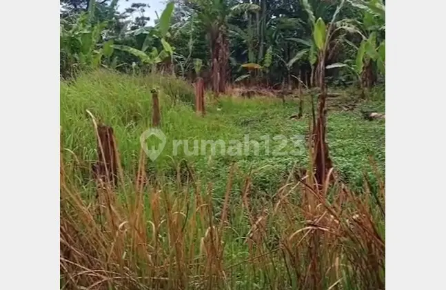 Spacious Land Suitable for Warehouse in Batujajar