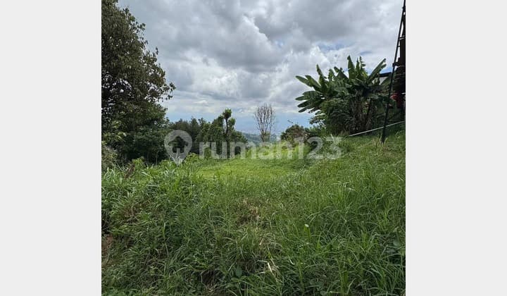 Tanah Luas, Murah & Strategis di Punclut, Lembang