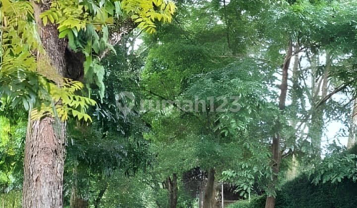 Kavling Luas Siap Bangun di Sayap Ciumbuleuit Bandung