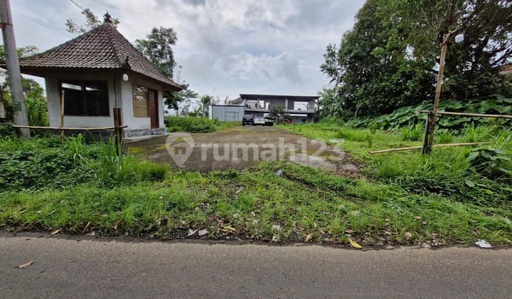 Tanah bonus Bangunan dan izin usaha di Kintamani