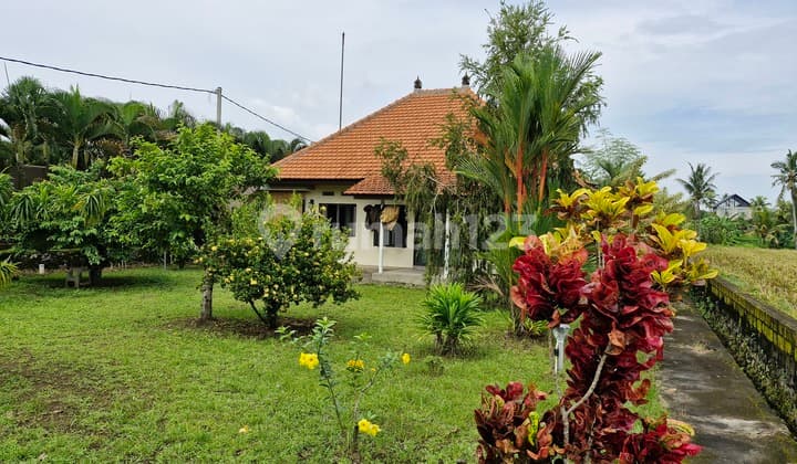 Villa, Hak Sewa, tersedia Kolam Renang Pribadi di Ubud