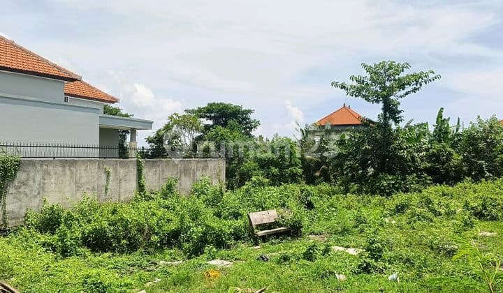 Tahan Kapling Yellow Zone 250 M2 Strategis Di Munggu Dekat Canggu