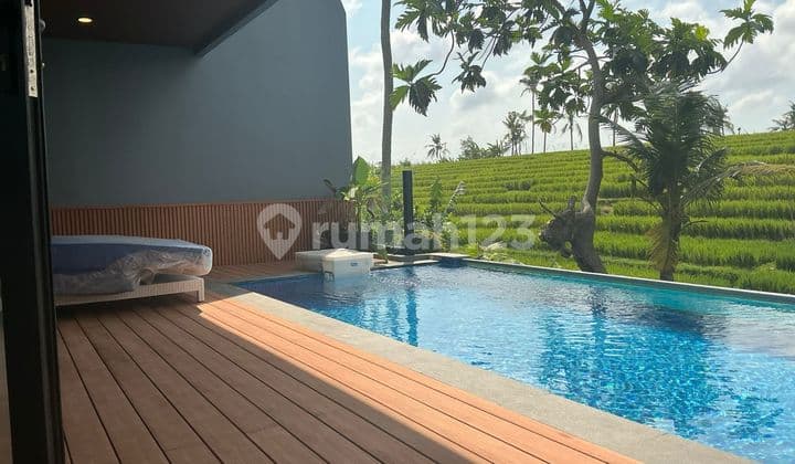 Vila Mewah Complex 3 Bedroom Fully Furnished View Sawah Canggu