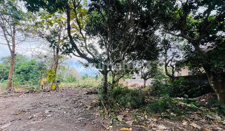 Tanah Luas 418m2 Zona Kuning Di Lokasi Premium Uluwatu