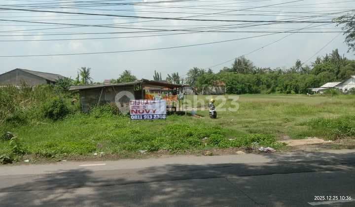Termurah Dijual Segera Tanah / Kavling Murah Rajeg Tangerang