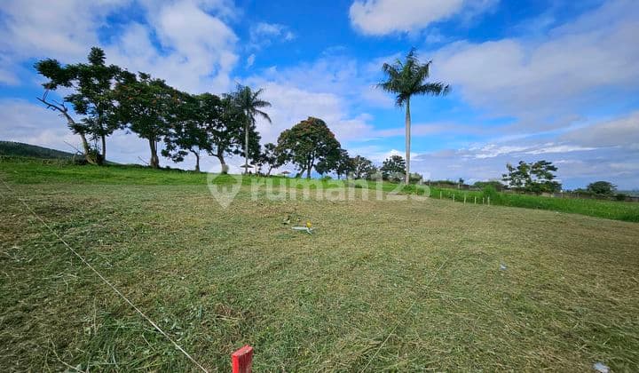 Jual Tanah 700M2 Dekat Jl Raya Utama Puncak Megamendung