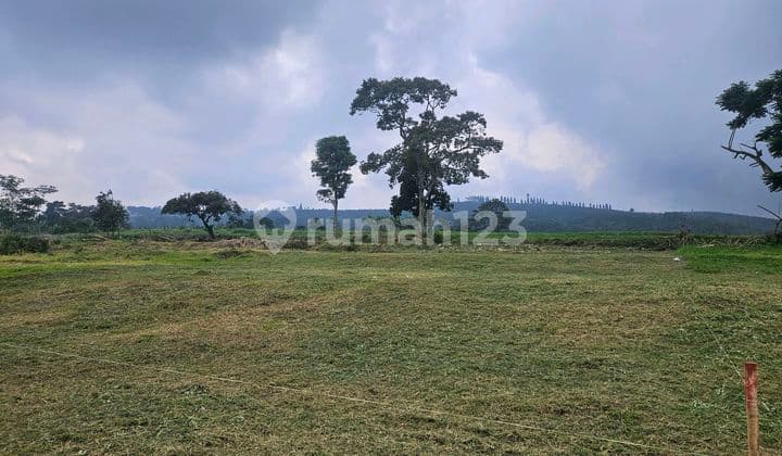 Land for Sale Near Bakmi Golek, Hook Position in Cisarua Puncak.