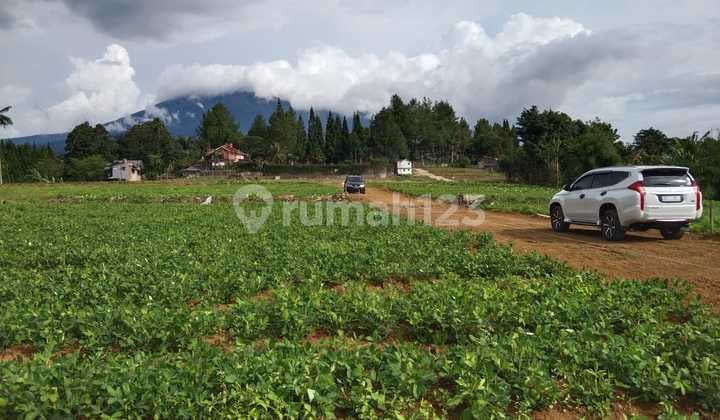 Tanah kavling 200m² di Jalan Cikopo Selatan Megamendung Bogor