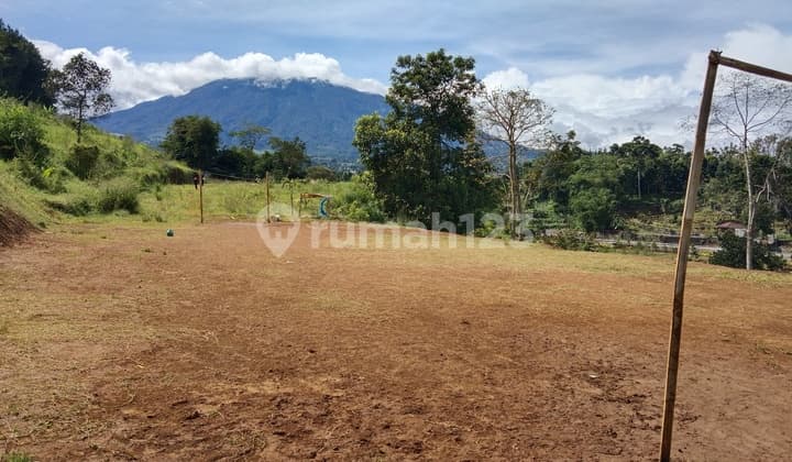 Land for sale on Waru Doyong Street, Kuta Village, Megamendung District.