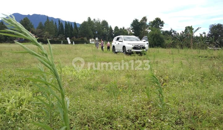 Tanah Milik Dijual Di Jln,cikopo Selatan Megamendung Dekat Jsi