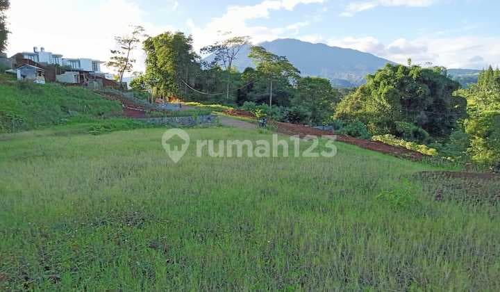 Jual tanah murah 3000m² area wisata Megamendung puncak