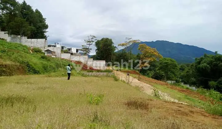 Jual Tanah 2000M² Area Wisata Megamendung Puncak Bogor