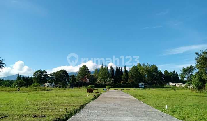 tanah di jln Munjul sukamanah Megamendung puncak