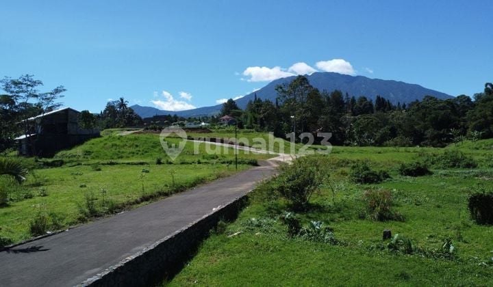 Tanah di Megamendung Luas 660M2 Dekat Coffee Munjul