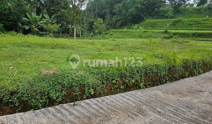 Tanah Dijual Di Megamendung Dekat Coffe Munjul Megamendung