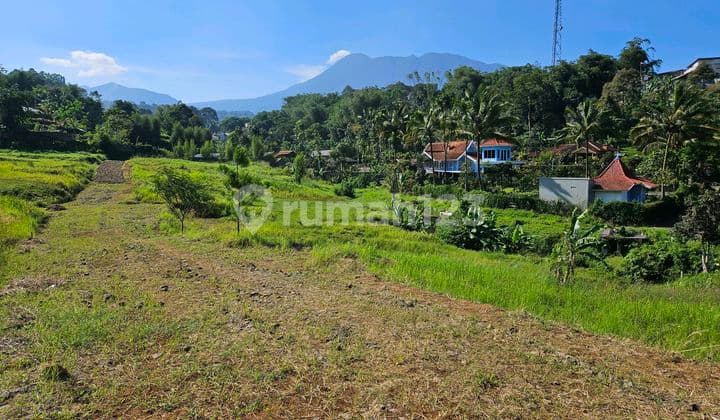 Jual Tanah Dekat Kali di Puncak Cisarua Bogor