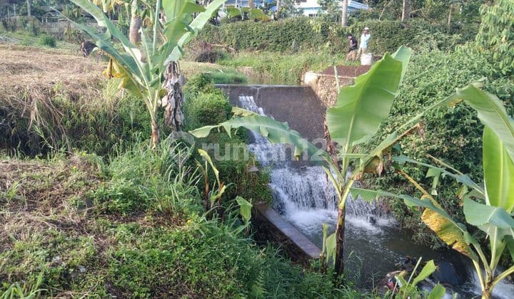 Tanah Milik Dijual Di Jln Bumi Susi Citeko Cisarua Puncak Dekat Kali