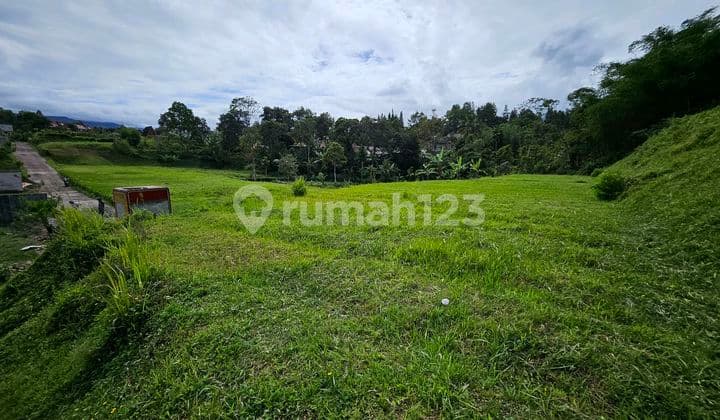 Tanah Dijual Luas 660M2 di Megamendung Puncak Dekat Coffe Munjul