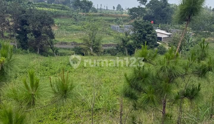 Tanah Kavling Siap Bangun Di Cisarua Puncak Bogor