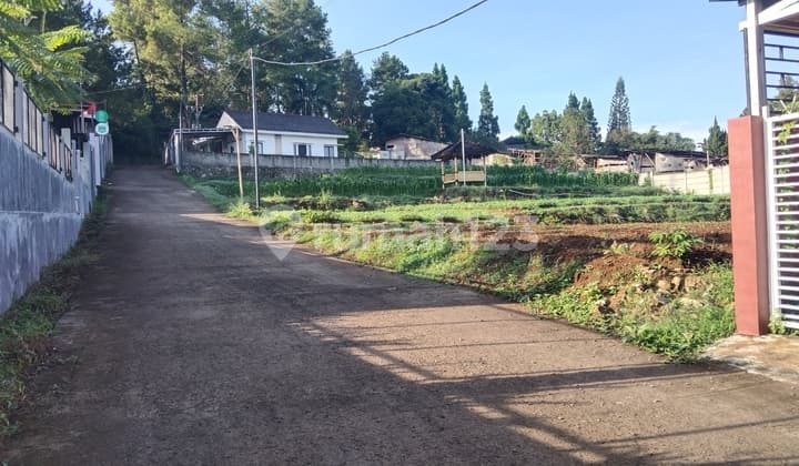 Kavling Villa Terdekat Tol Gadog Dekat Jsi Resort Megamendung