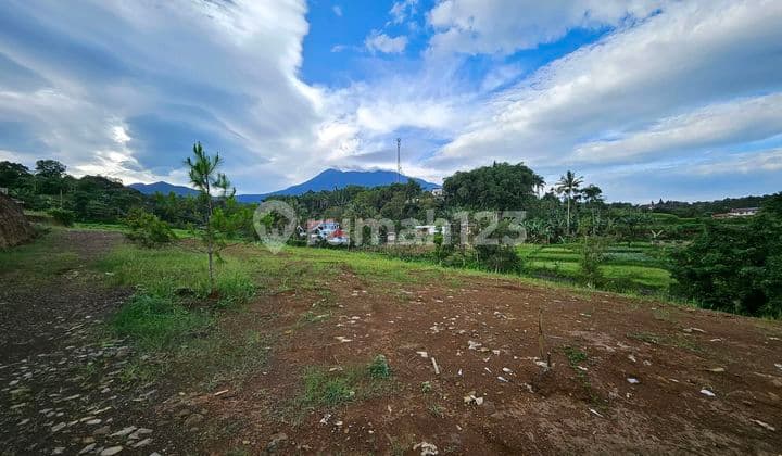 For Sale Freehold Land with SHM in Cisarua Puncak Bogor