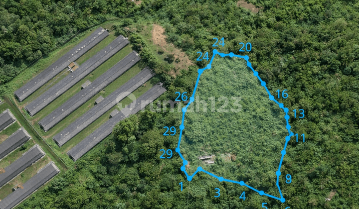 Tanah Sangat Luas di Pupuan Bali, Ada Akses Motor, Sangat Cocok untuk Sawah Ataupun Peternakan