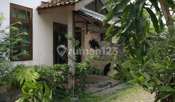 Dijual Rumah Asri & Luas Tanpa Perantara Sewon, Bantul Yogyakartaokasi Asri dan Tenang