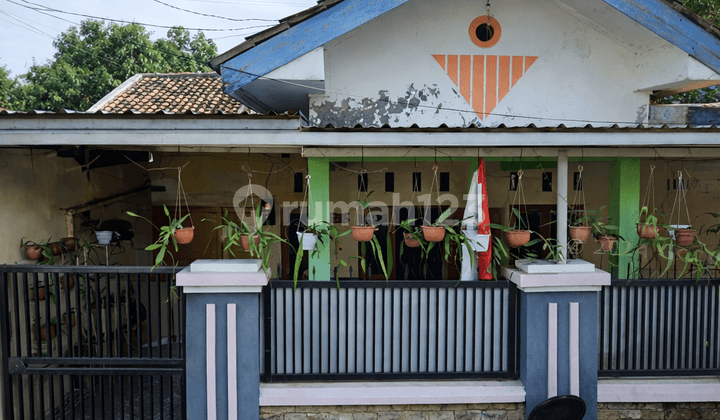 Rumah 3 Kamar di Perumahan Griya Kabunan Asri 2, Dukuhwaru Tegal, Lokasi Strategis Dekat dengan Skolah dan Pasar