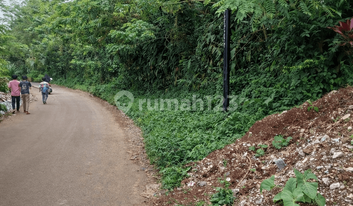 Tanah Kebun di Cisaat, Sukabumi Lokasi di Pinggir Jalan, Akses Menggunakan Mobil, Sangat Cocok untuk Investasi Masa Depan