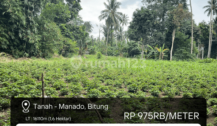 Tanah Siap Bangun di Bitung, Sulawesi Utara, Lokasi Strategis di Pinggir Jalan Besar, Cocok untuk Investasi