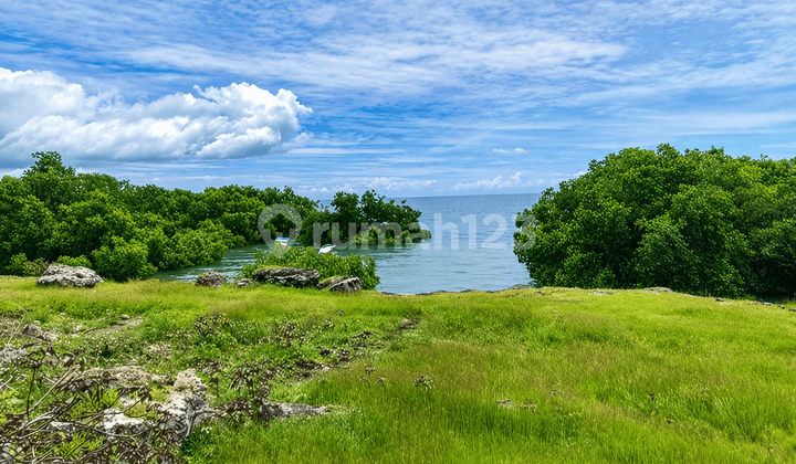 Tanah Investasi Luas View Laut - Strategis Dalam Kota Sumba Timur, Ntt