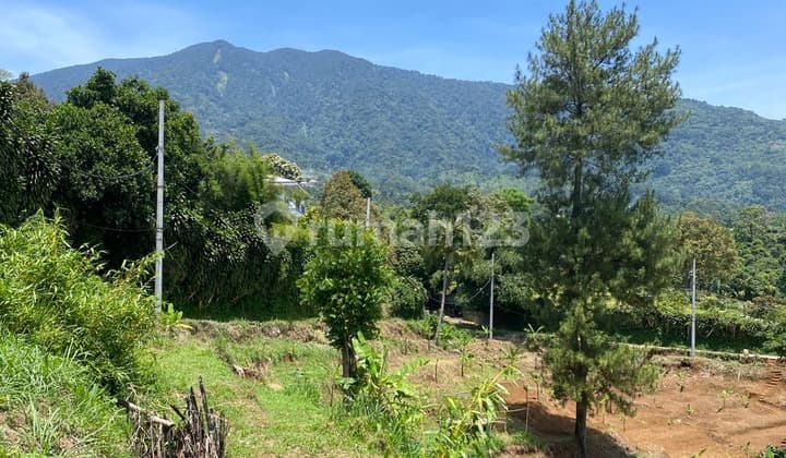 Tanah Murah Untuk Usaha di Cigombong , Bogor 5.200 m²