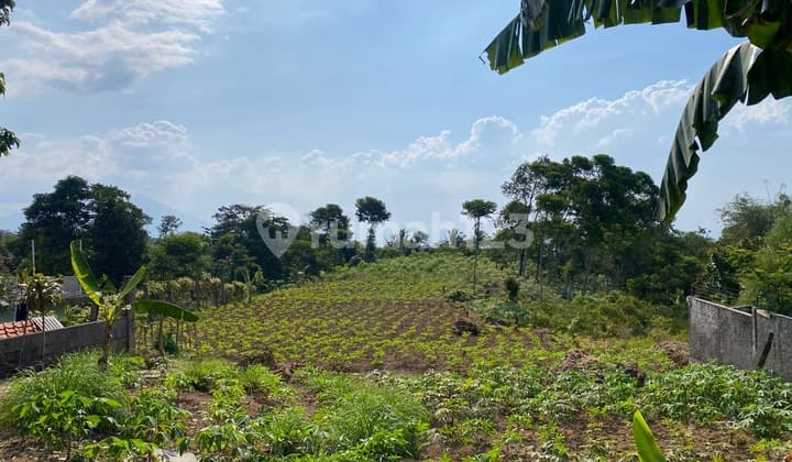 Tanah di Bojong Koneng Sentul Bogor SHM 8.190 m²